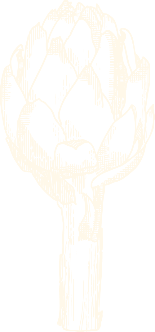 Mühlentor_Artichoke_